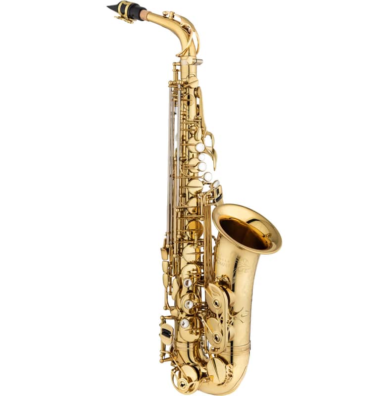 Andreas Eastman EAS850 Professional Alto Saxophone with Case image 1