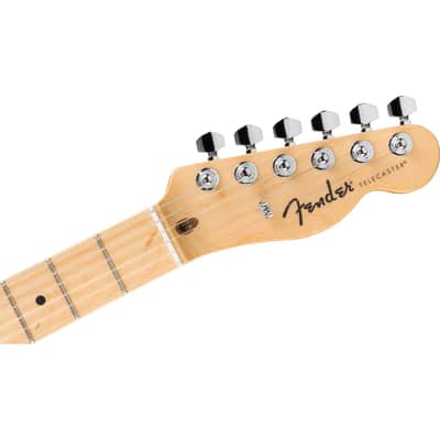 Fender Standard Telecaster - Butterscotch Blonde image 6