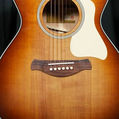 Taylor Ben Harper Gold Label 512e Special Edition Acoustic-Electric Guitar 2026 - Sunburst image 4