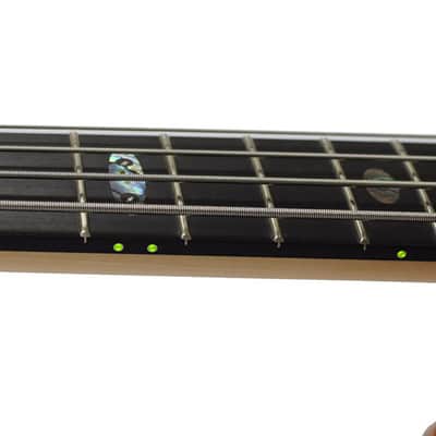 Alembic Series I Buckeye Resin Top Green LED image 14
