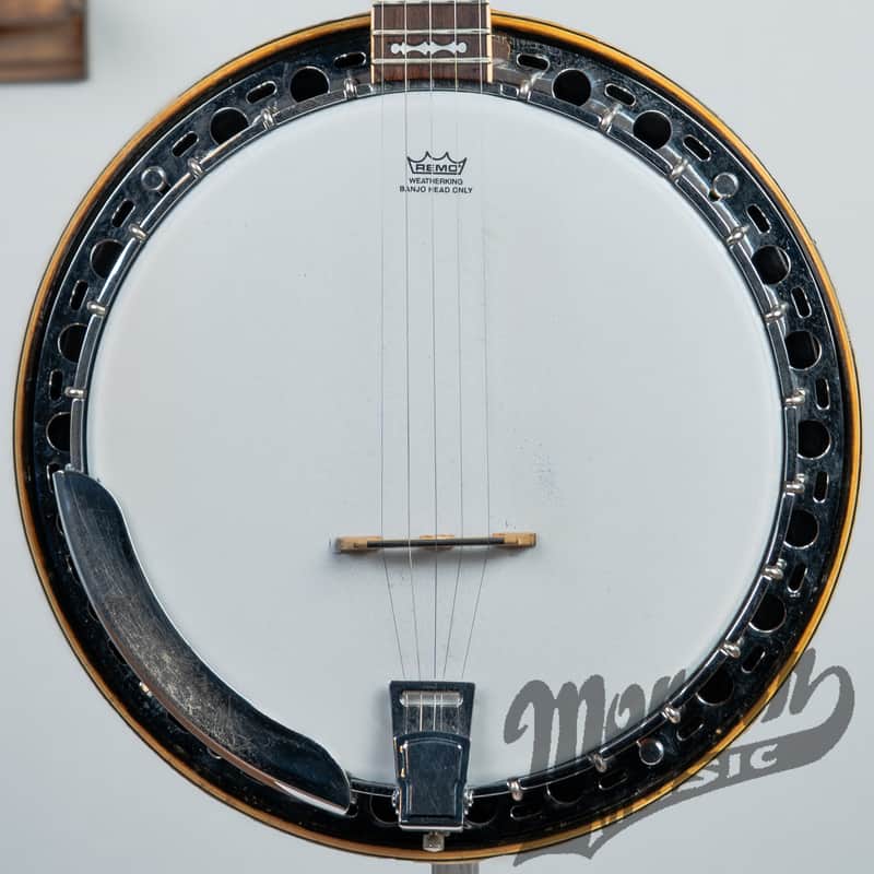 Fender Artist Banjo