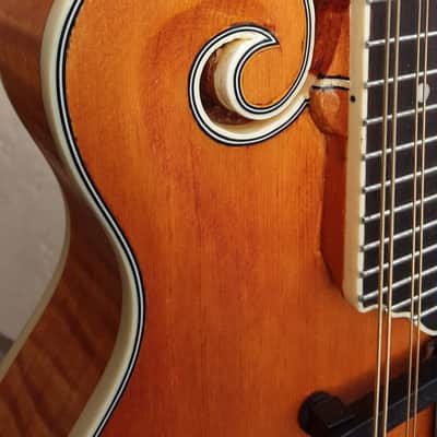 Epiphone MM-50E Professional Mandolin 2010s - Vintage Natural image 5