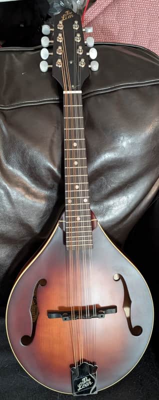 The Loar LM-110