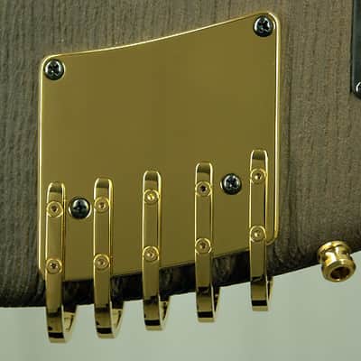 Ritter Royal "The Stone Age Roya" 5 string Fretless Bass image 12