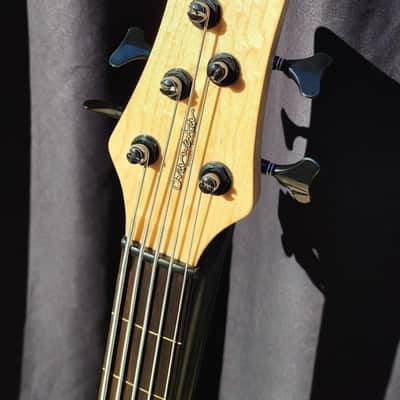 Overwater Progress Series IV Custom 5 String Fretless image 11