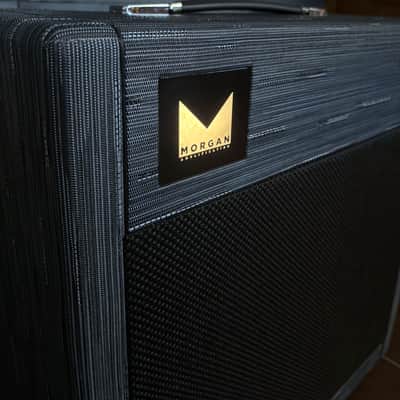 Morgan Amplification MVP23 - Combo Twilight image 5