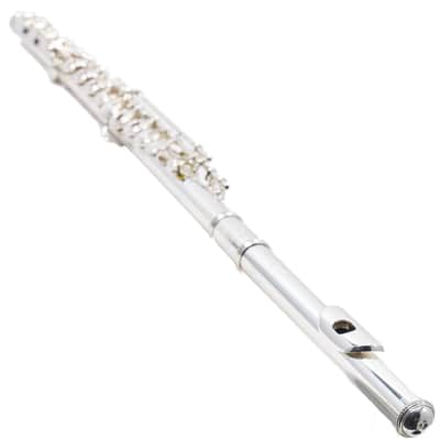 William S. Haynes Custom Silver Flute with B Foot, Offset G, C# Trill, Split E image 15