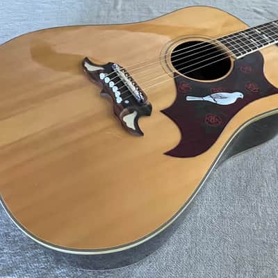 1970’s Alvarez 5025 Acoustic Guitar Dove Copy Dreadnought Made in Japan MIJ Solid Spruce Top + Case - VIDEO image 9