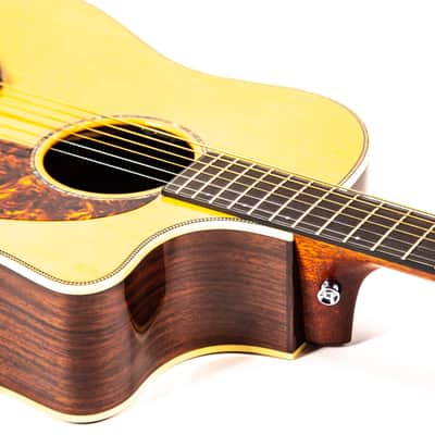 Breedlove Pro Series D25/SRH Acoustic Guitar Owned by Dave Mustaine image 13