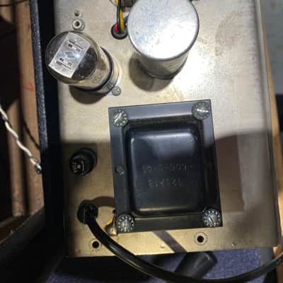 Fender Fender '66 Vibro Champ - Dave Amato of REO Speedwagon image 4