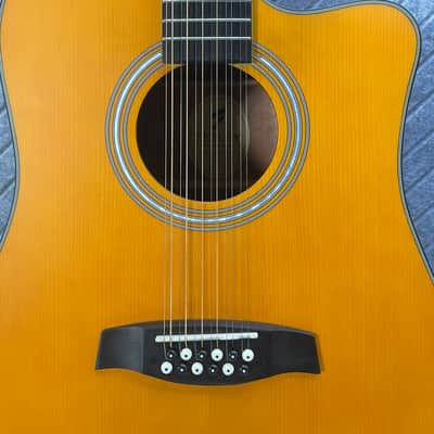 Fesley FDET280C 12 String SkunkWerx Stage Ready IN USA SETUP String Joy 2025 - Natural image 4