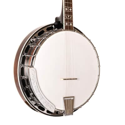 GOLD TONE TS-250 Tenor Special banjo NEW w/Hard Case image 3