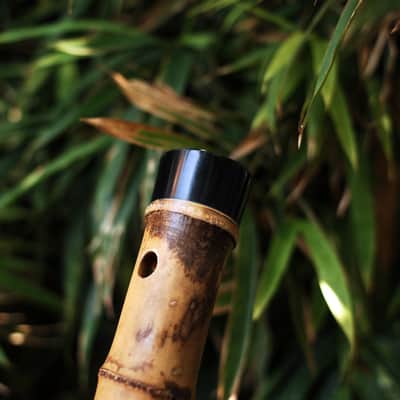 Long-Xiao Flute-Yellow Bamboo– Concert-Tuned Key E/D/C/B (Lowest Note), 8 Holes, 3 Piece - Finish with Lacquer Protection Inside, Xiao's tail is covered with buffalo horns image 9