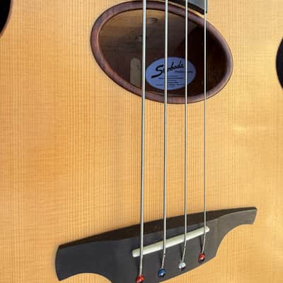Svoboda Acoustic Electric Bass - Freted or Fretless 2021 - Clear Mat image 2