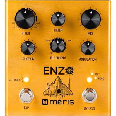 Meris Enzo Multi-Voice Synthesizer Pedal image 1