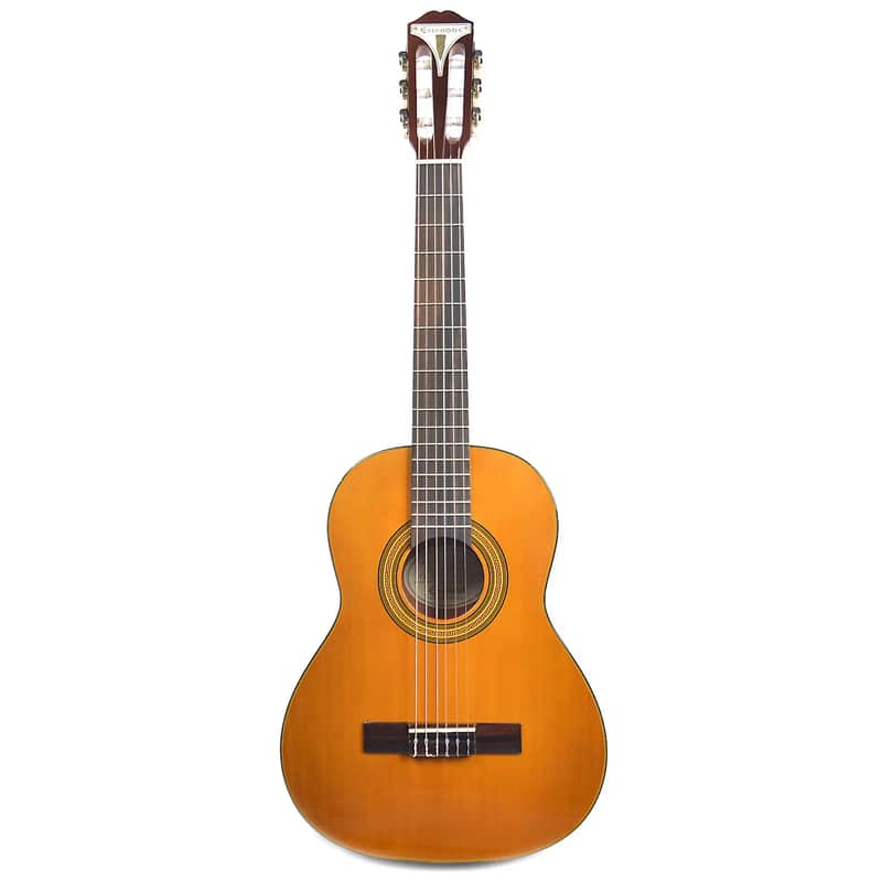 Epiphone PRO-1 Classic 3/4 image 1