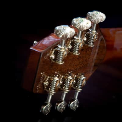 Yzzy Guitar Works Y-019 2024 image 5