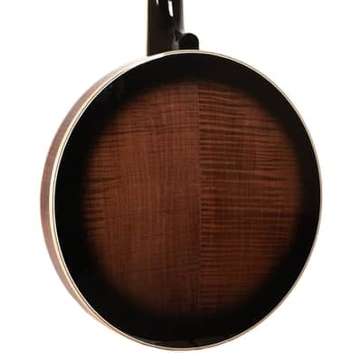 Gold Tone OB-250LW Light Weight Professional Bluegrass Orange Blossom Banjo with Hard Case image 4