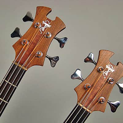 Tobias Doubleneck Bass 1979 Natural image 4