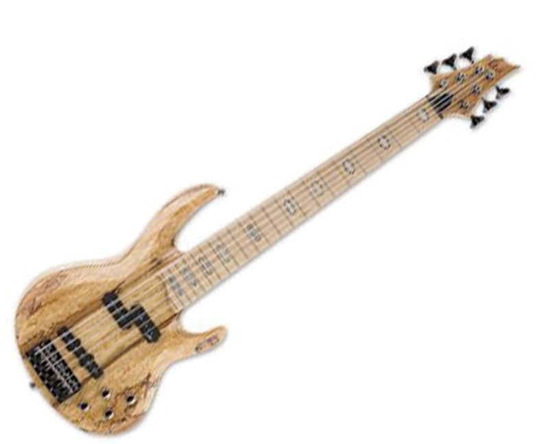 ESP LTD RB-1006SM image 1
