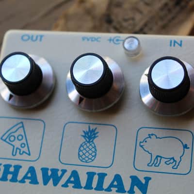 CAROLINE  "Hawaiian Pizza Fuzz" image 9