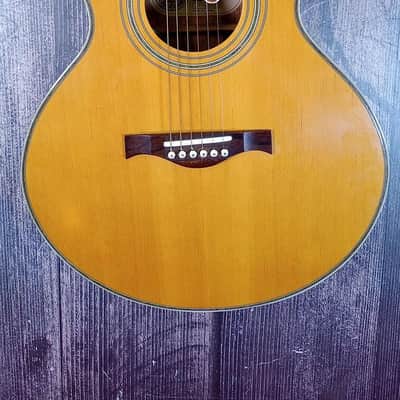 Charvel 625C Acoustic Electric Guitar (Queens, NY) image 2