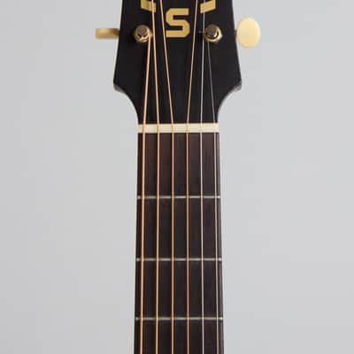 Iris  DF Flat Top Acoustic Guitar, ser. #268, black tolex hard shell case. image 5