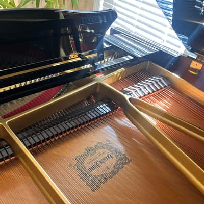 Yamaha C7 1988 - Ebony image 9