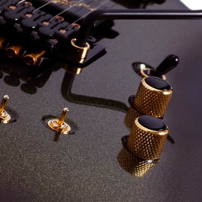 Schecter Avanger FR S 50th Anniversary - Gold Burst image 14