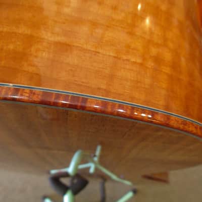Morgan Concert Custom 2008 image 16