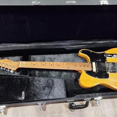 MyDream  Partcaster Custom Built - Telecaster Swamp Ash Butterscotch SD Zebra SH-1N image 3