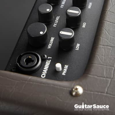 Fender Acoustic Junior Combo 2024 (Cod.AMP_00162) image 7