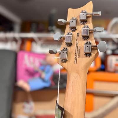 PRS DANDY RED SE SILVER SKY JOHN MAYER SIGNATURE 2025 Super Exclusive image 9