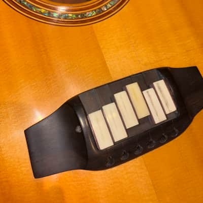 Linda Manzer Sitar Acoustic 1997 w/ Hardshell Case image 11
