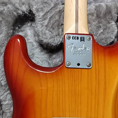 Fender American Professional Stratocaster with Rosewood Fretboard 2019 - Sienna Sunburst image 5