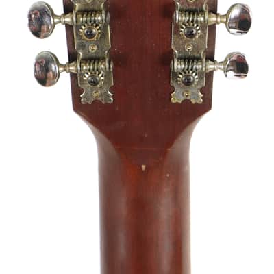 Vintage Tokai Gakki Japan DM12-5 12-string Acoustic Guitar Project image 8