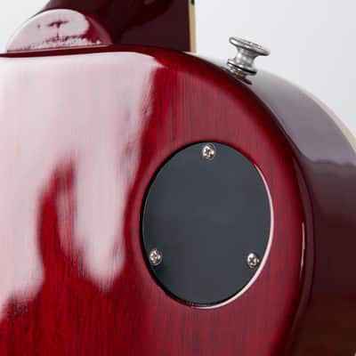 Gibson Warren Haynes Les Paul Standard, 60s Cherry | Demo image 8