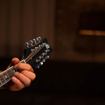 Ortega RMAE30-WB Americana Series Spruce Top Maple Neck F-Holes A-Style 8-Strings Mandolin image 19