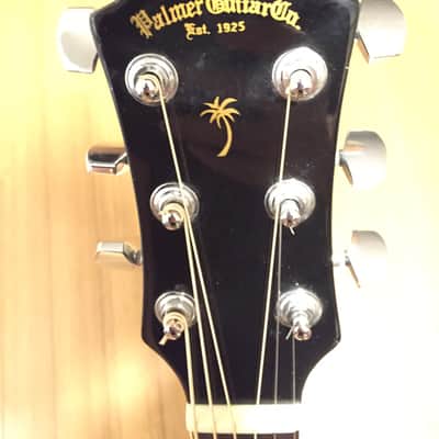 Palmer Guitar Co. Acoustic Electric Pf24 EC Black With Hardshell Case image 2