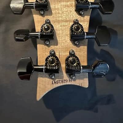 PRS Special 22 Semi-Hollow Wood Library image 9