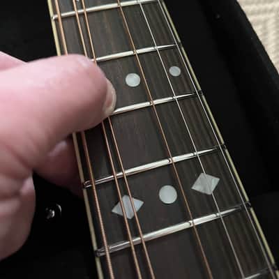 Washburn R314KK with stainless steel frets image 8