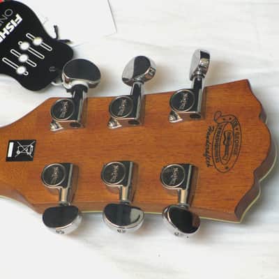 Washburn Heritage HD23SCE Dreadnought acoustic/electric GUITAR w/Case image 7