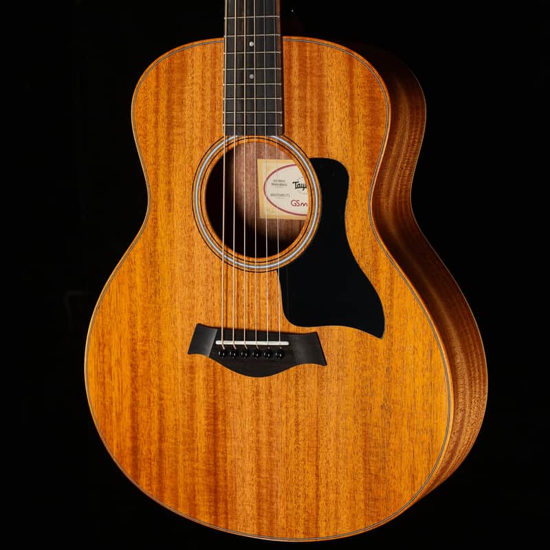 Taylor GS Mini Mahogany (171)