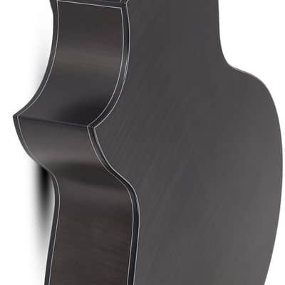 Schecter Orleans Stage-7 Acoustic Electric Guitar - Satin See Thru Black (3709) image 6