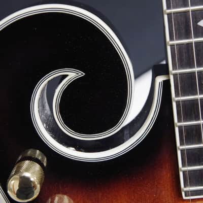 Gold Tone EBM-5 F-style electric 5-string Banjo w/ CASE - Planet Tuners -B-stock image 10