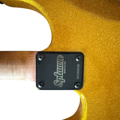USA Custom Splawn SS1 Gold Sparkle 2026 - with Custom Locking Hard Shell Case image 9