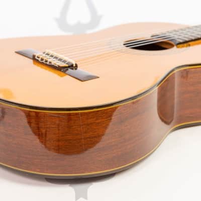 Daion GC 20 (Yamaki Built) image 20