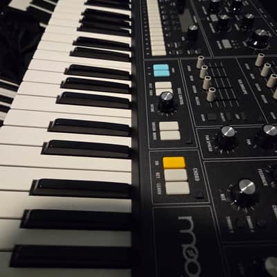 Moog Muse 8-Voice Analog Synthesizer 2024 - Present - Black image 4
