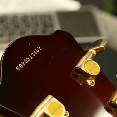 Aria Pro II FA-70 Jazz Hollowbody Archtop in 3 Color Sunburst image 19
