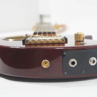Fernandes DIGI-ZO HYPER NOMAD DELUXE Mahogany Built-in Multi